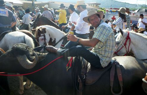 Pedro riding Tonka, LaFinca's water buffalo, in Palmares Tope festival