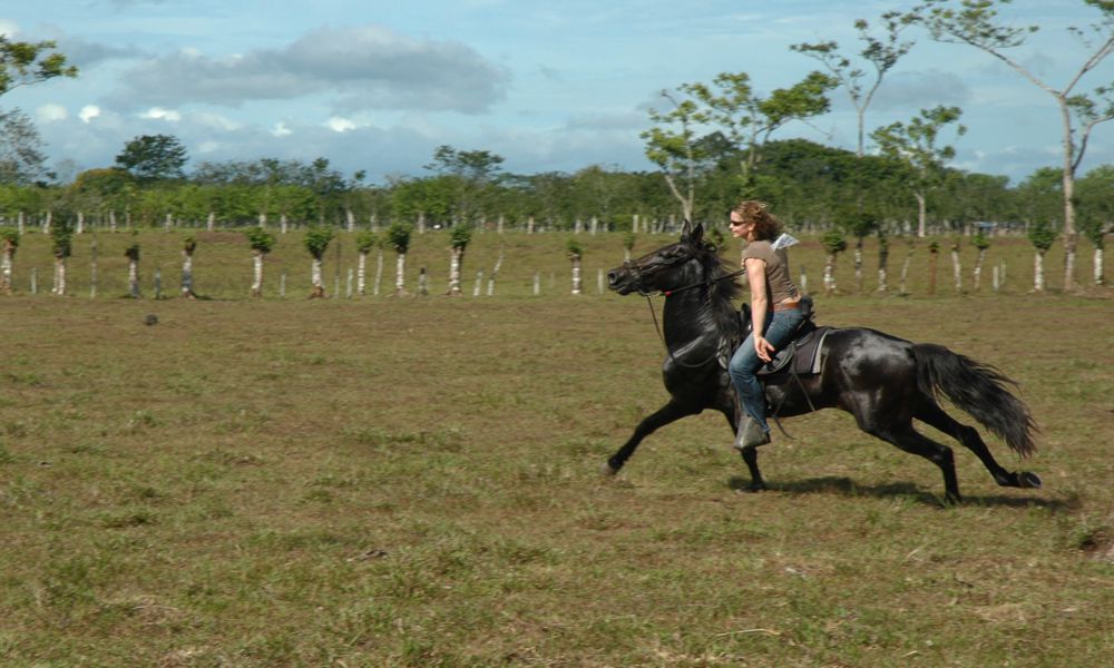 great rider at full gallop 