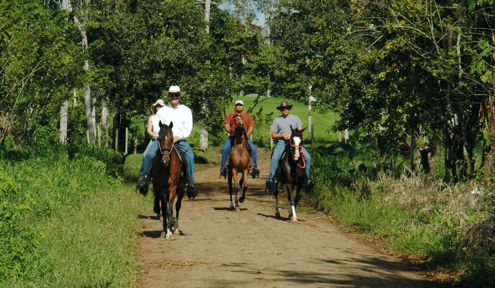 Horseback trail riding inCosta Rica