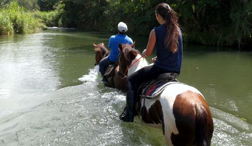 Horseback for Experienced Riders