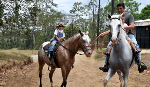 Horseback for beginners