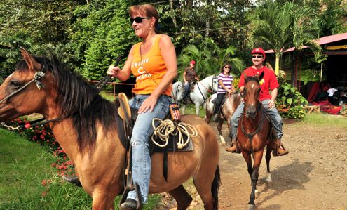 Horseback for people who want to learn  technique and comfort with horses