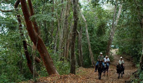 Horseback for experinced Riders