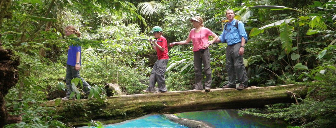 Crossing Celeste River on fallen tree trunk